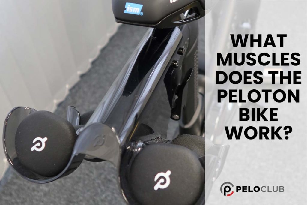 Peloton Bike+ seat and weights images with text What Muscles Does the Peloton Bike Work?